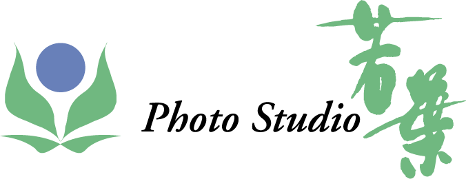 フォトスタジオ若葉ロゴ画像