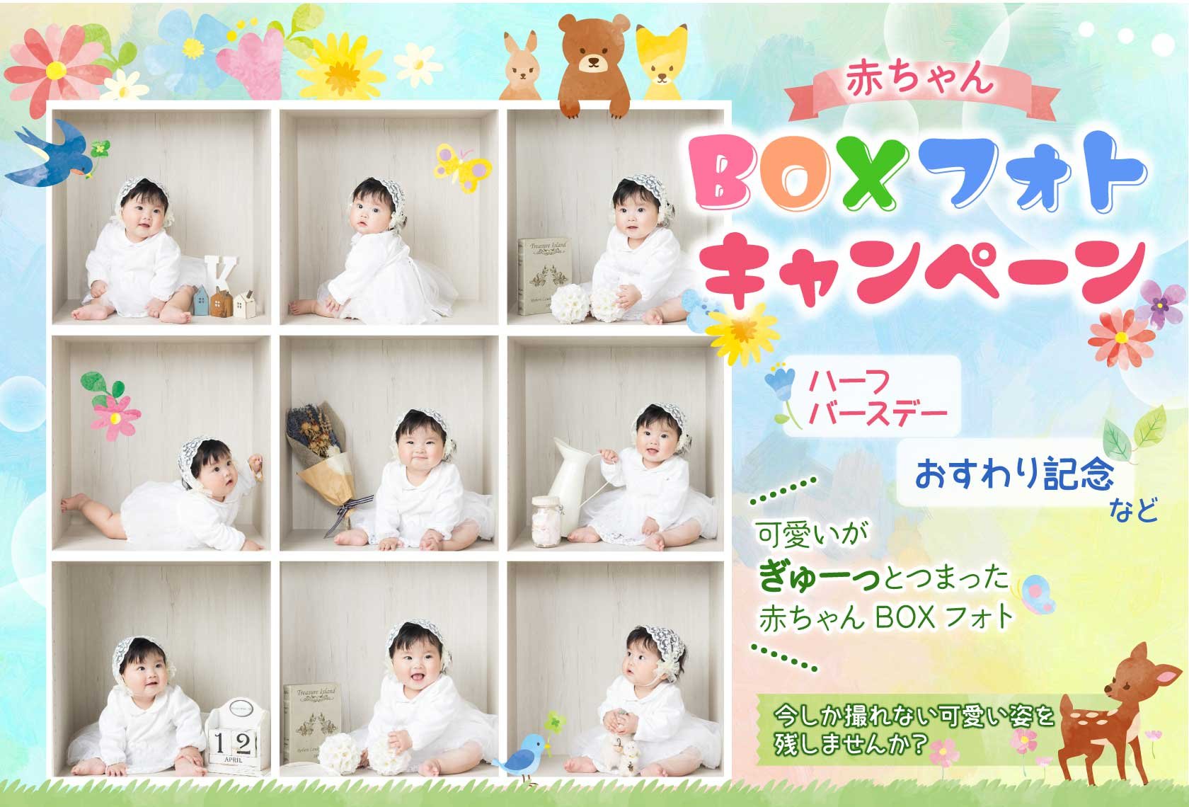 赤ちゃんBOXフォトキャンペーン:ハーフバースデー、おすわり記念など、可愛いがぎゅーっとつまった赤ちゃんBOXフォト!今しか撮れない可愛い姿を残しませんか?